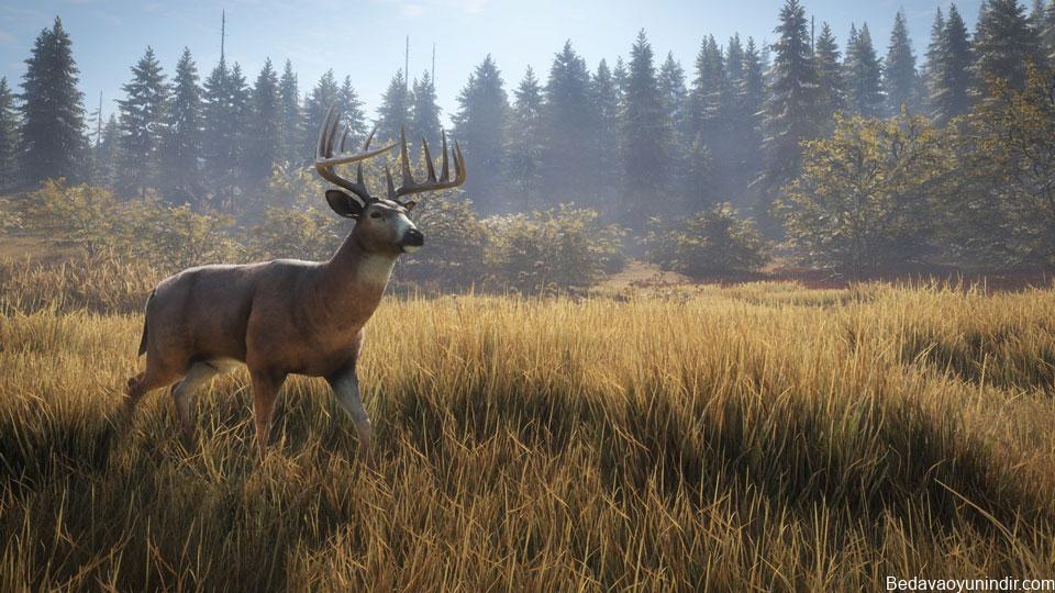 The Hunter Call Of The Wild Indir PC Oyun Indir